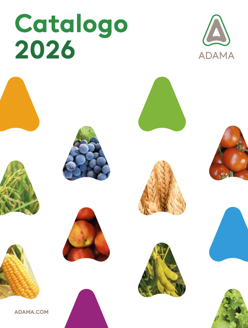 Scarica il catalogo prodotti di Adama