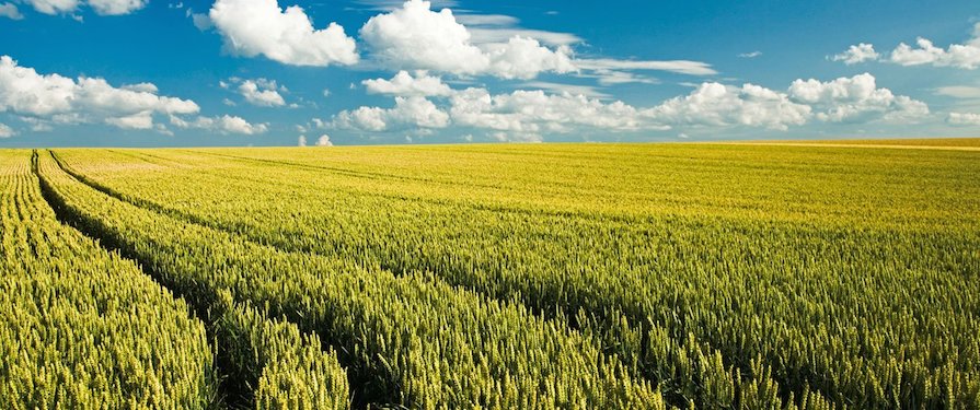 Risultati fertilizzanti Valagro per agricoltura