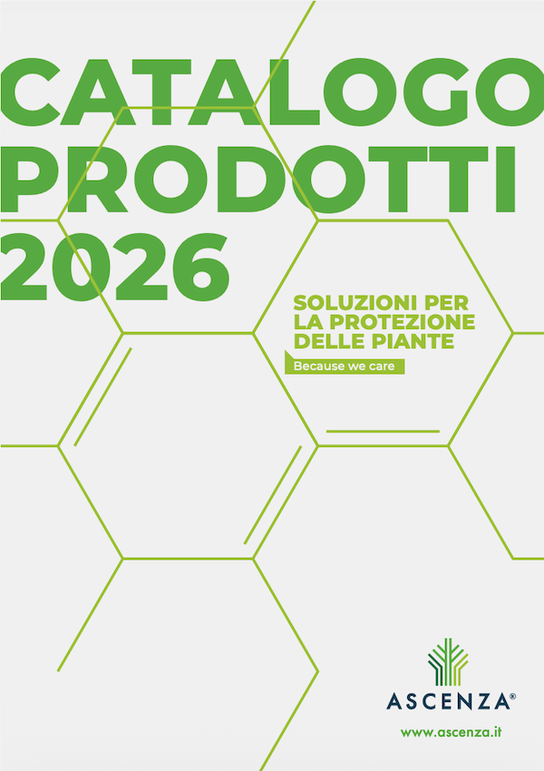 Scarica il catalogo 2026 Scarica il catalogo 2026